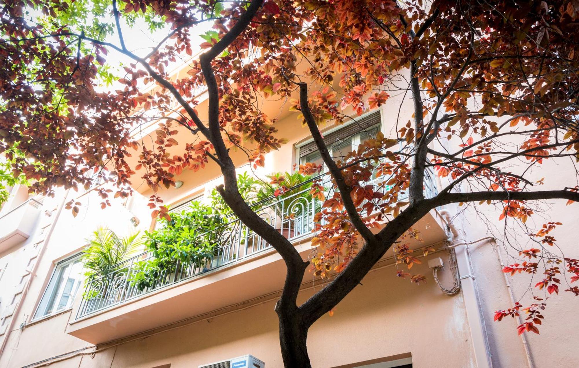 אתונה 3 Bedder Condo In Ilisia, Megaro Mousikis מראה חיצוני תמונה